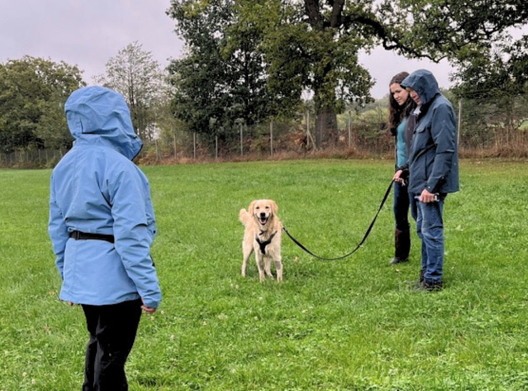 Reactivity Group Classes - Beginners