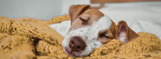 The Necessity of Nap Time