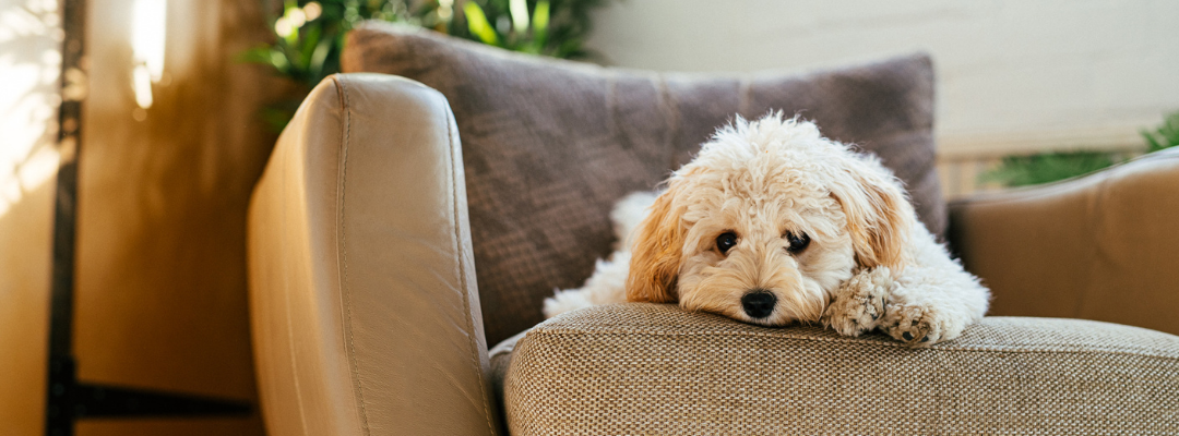 Preventing Separation Issues