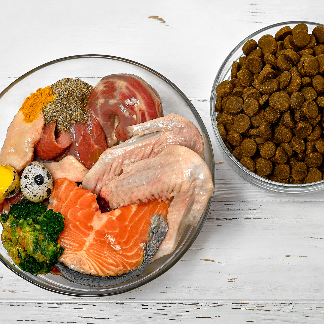 Elimination Diet Support